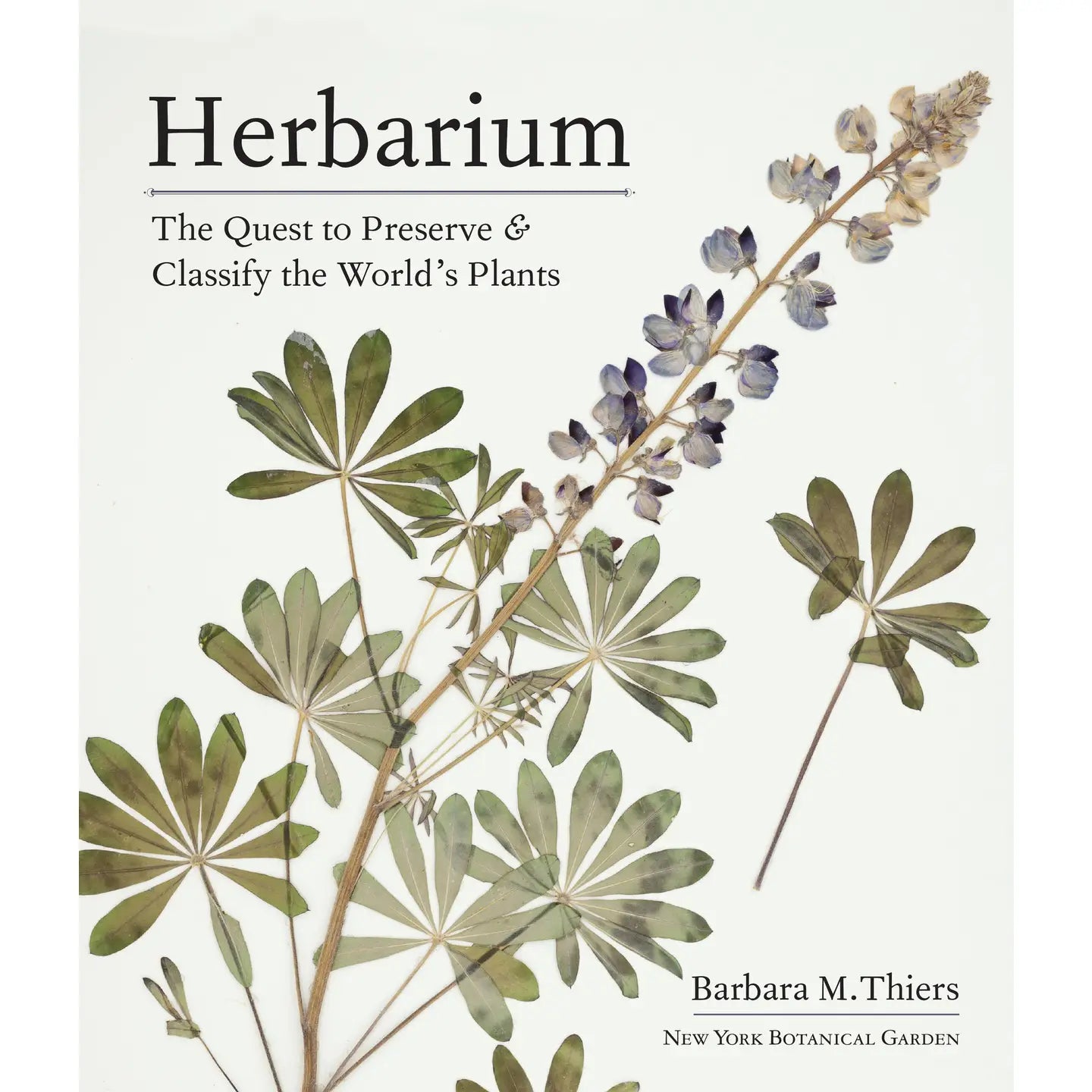 Herbarium - The Quest to Preserve & Classify the World's Plants