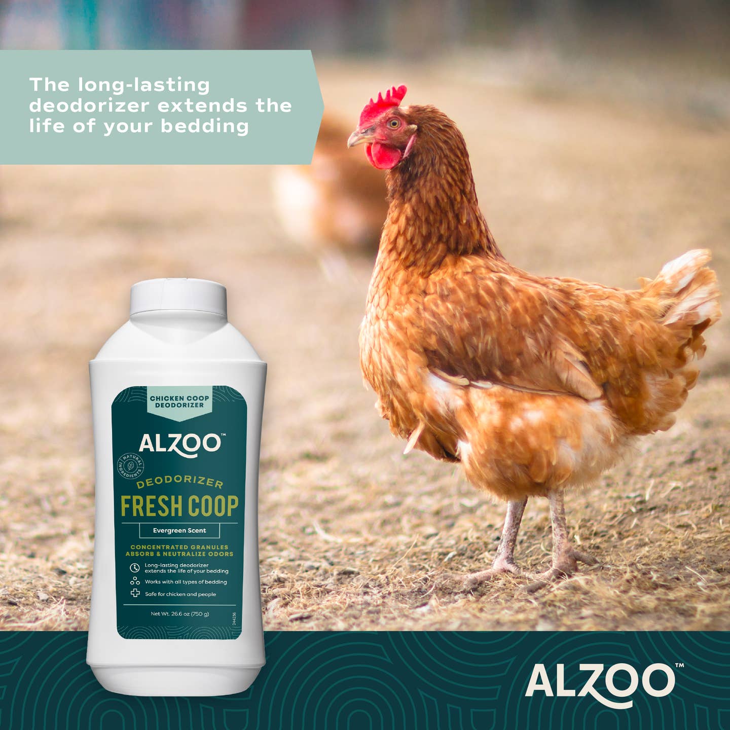 Fresh Coop | Deodorizer | Evergreen Scent