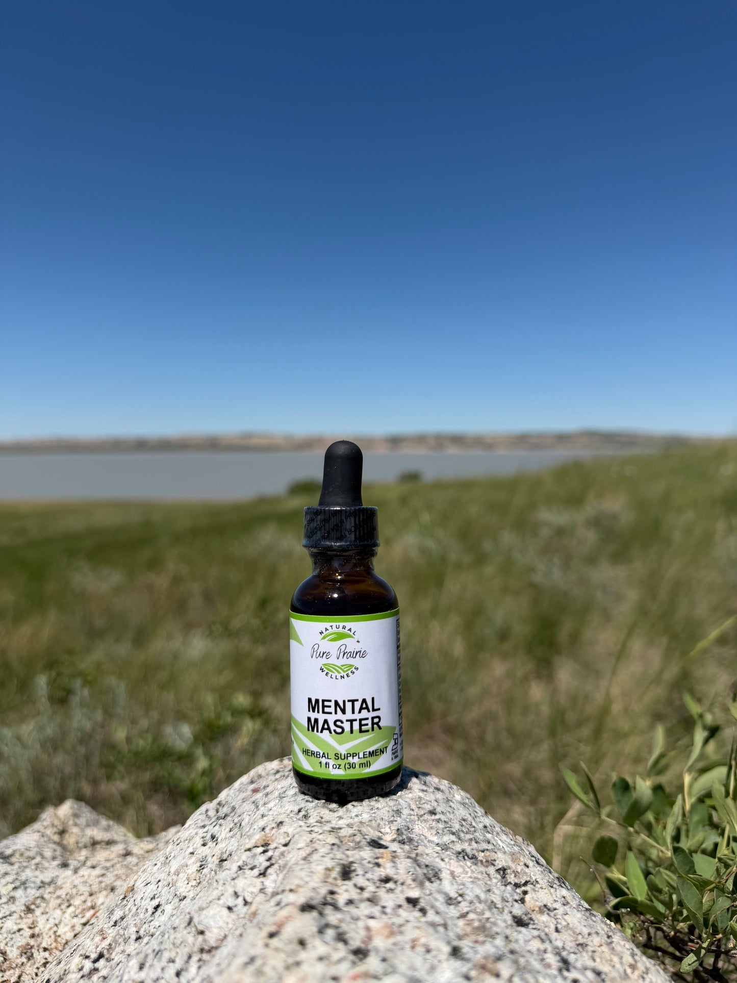 Mental Master Liquid Herbal Formula