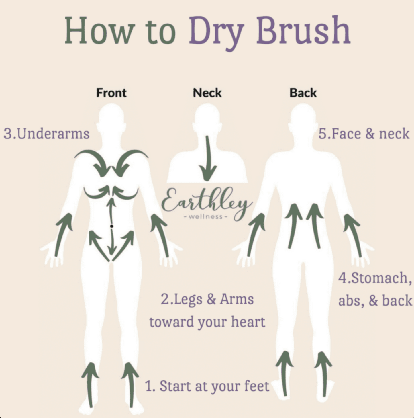 Crema linfática: promueve el drenaje linfático 4 oz