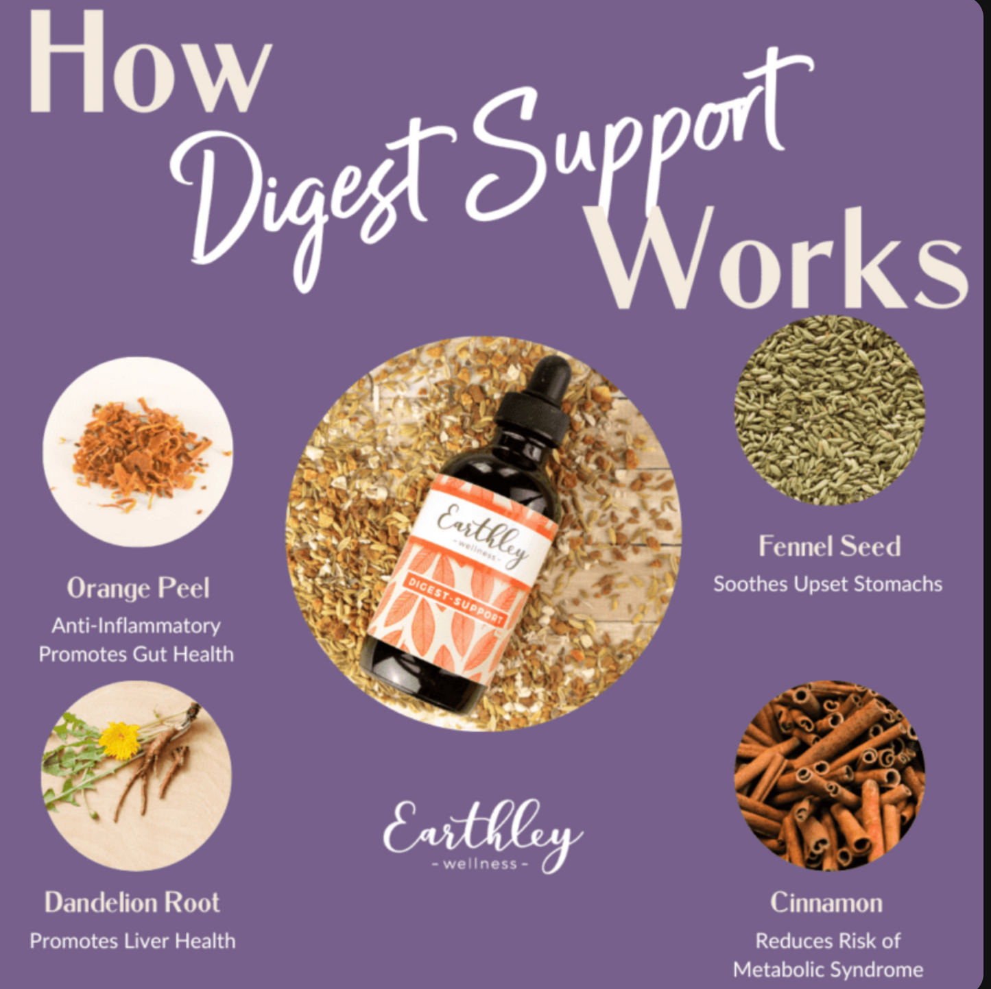 Digest-Support - Herbal Bitters for Healthy Digestion