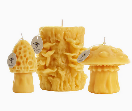 Byewas Sampioen Kers