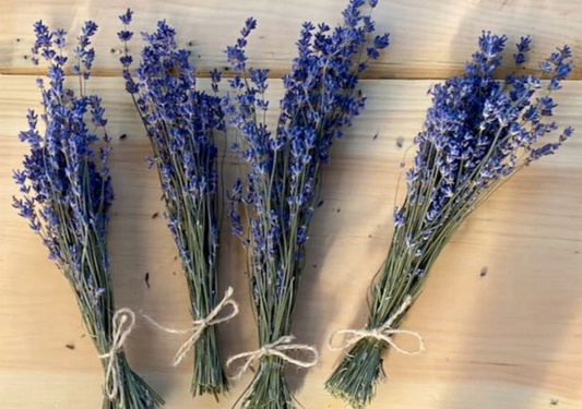 Gedroogde Engelse laventel mini trosse