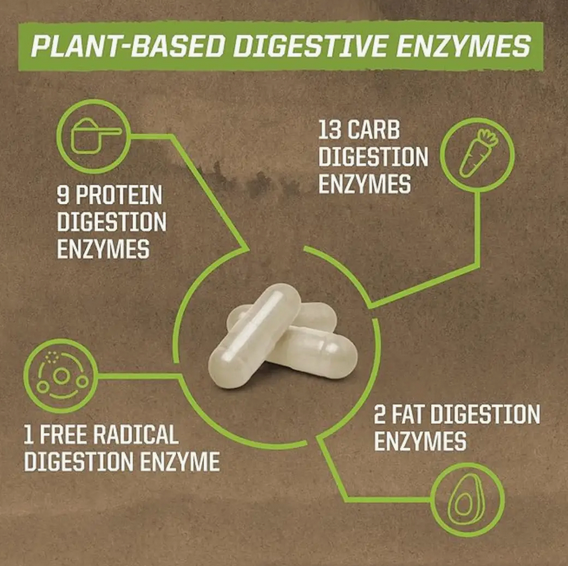 Digestive Enzyme | Enzorb Digestive Enzyme Supplement Capsules - Plant-Based