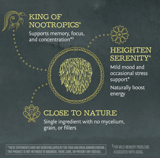 Sunwarrior Lion's Mane