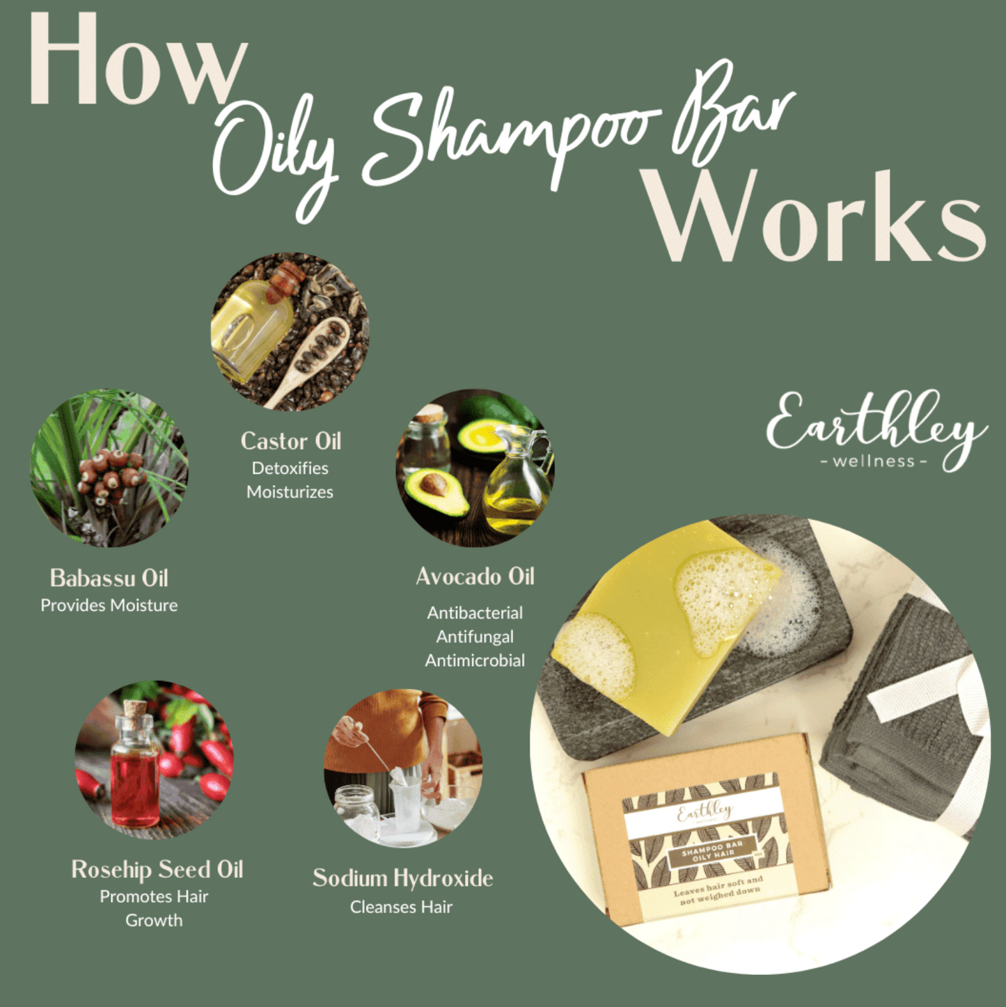Champú en barra Earthley (cabello graso)
