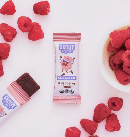 Skout Organic Raspberry Rush Kids Snack Bar