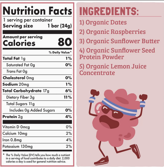 Skout Organic Raspberry Rush Kids Snack Bar