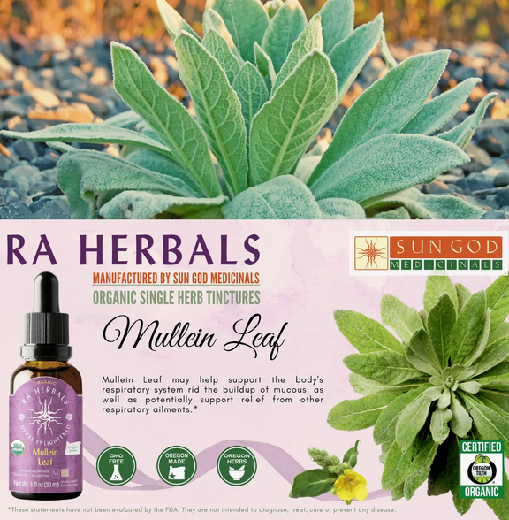 Organiese Mullein Leaf Tinktuur 1oz