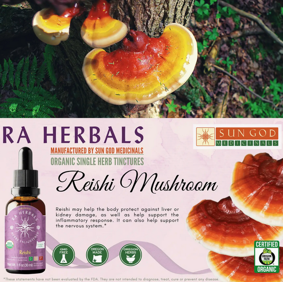Organic Reishi Tincture 1oz
