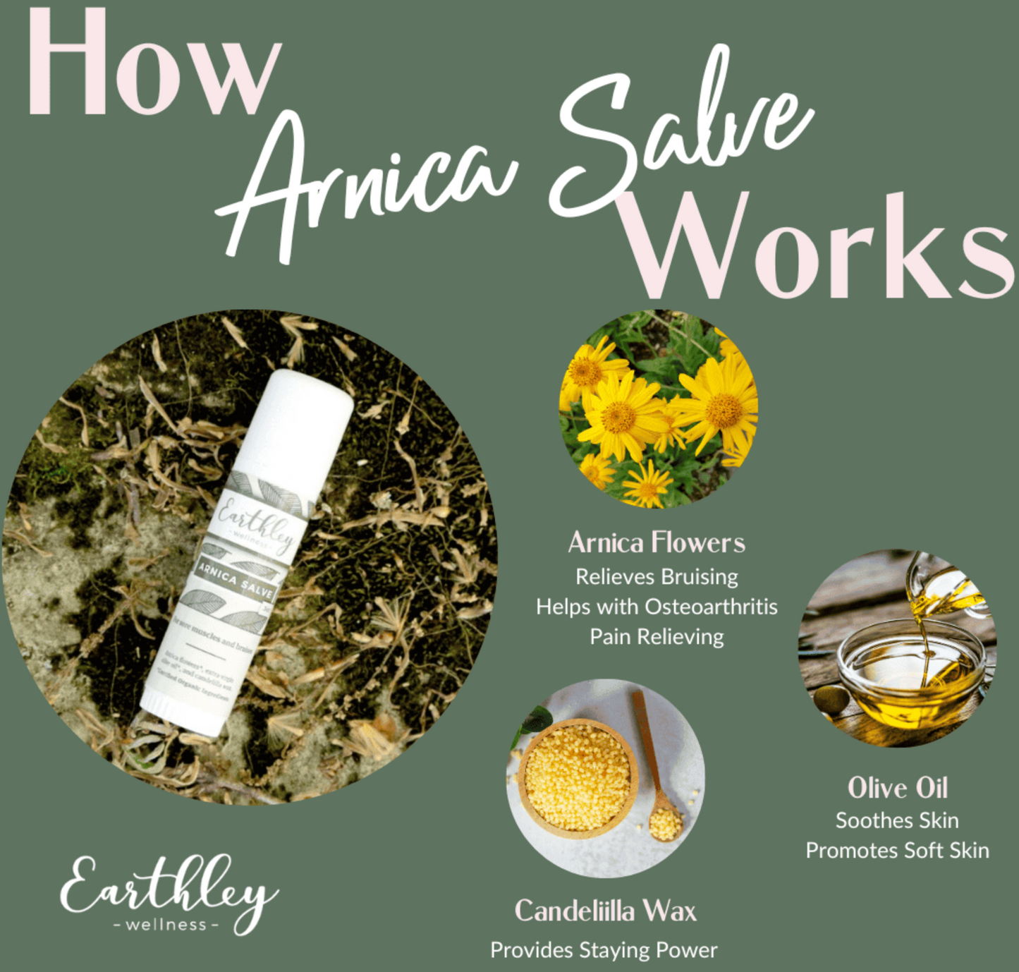 Arnica Salve For Sore Muscles and Bruises