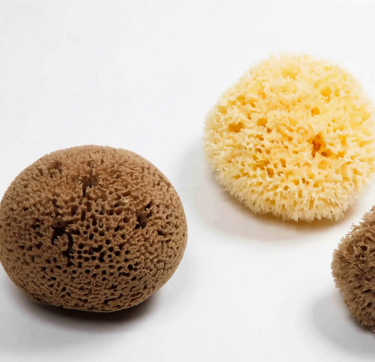 Natural Sea Sponge - Plastic Free Organic Sea Sponge
