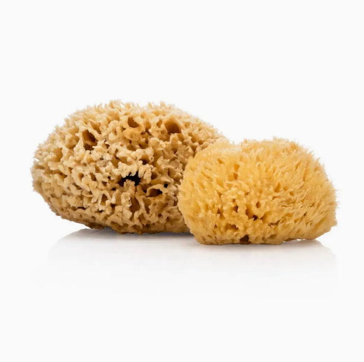 Natural Sea Sponge - Plastic Free Organic Sea Sponge
