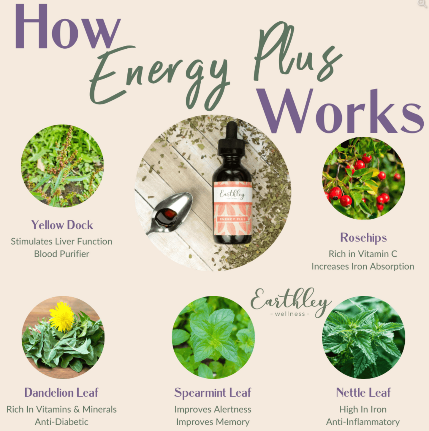 Energy Plus For Healthy Energy, Herbal Iron, and B vitamins