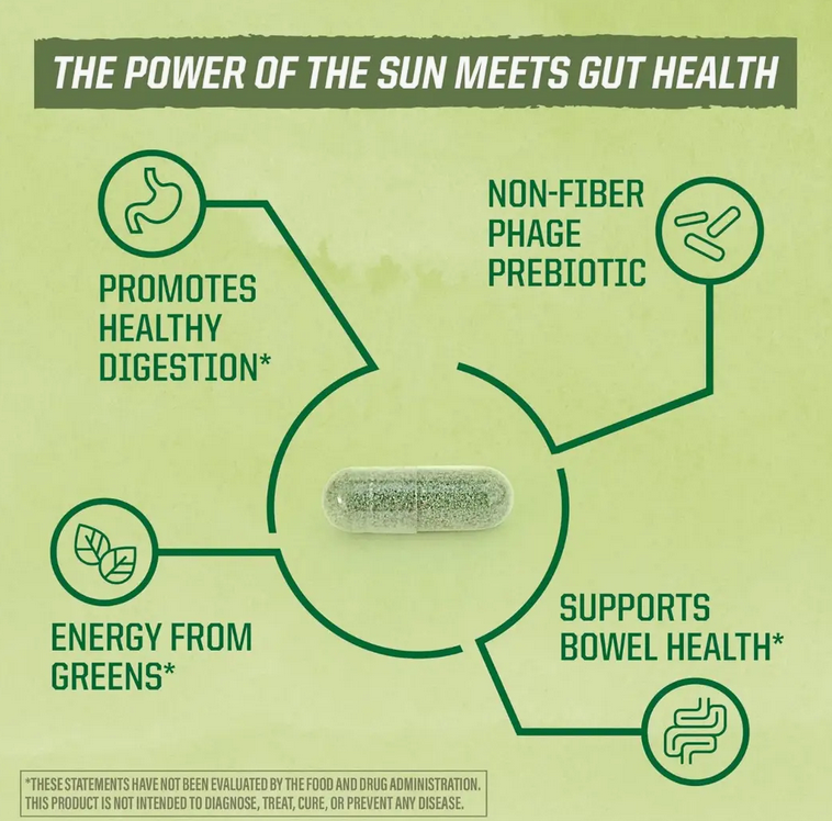 Probiotic Supplement Capsules - Shelf Stable, 10B Cfu