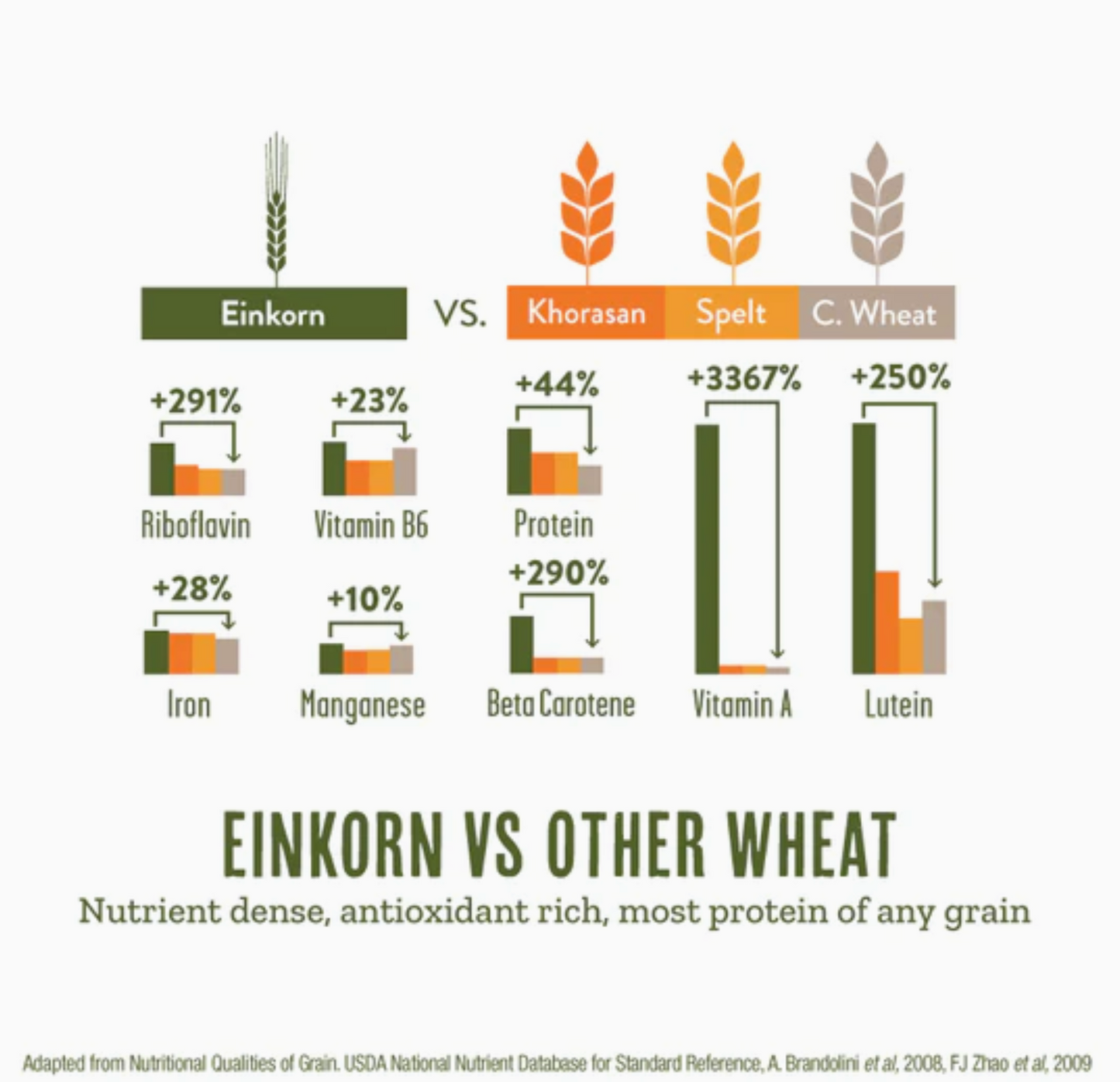 Organic Einkorn Spaghetti Gluten AA