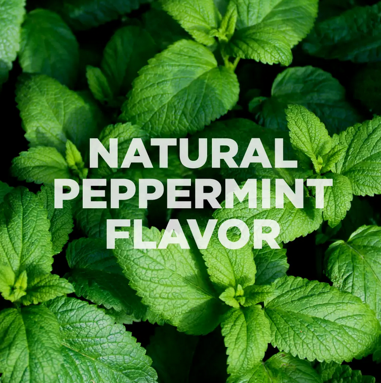 Natural Mouth Pulling Oil | Ayurvedic and Mint - 240ml