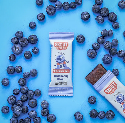 Skout Organic Blueberry Blast Kids Snack Bar