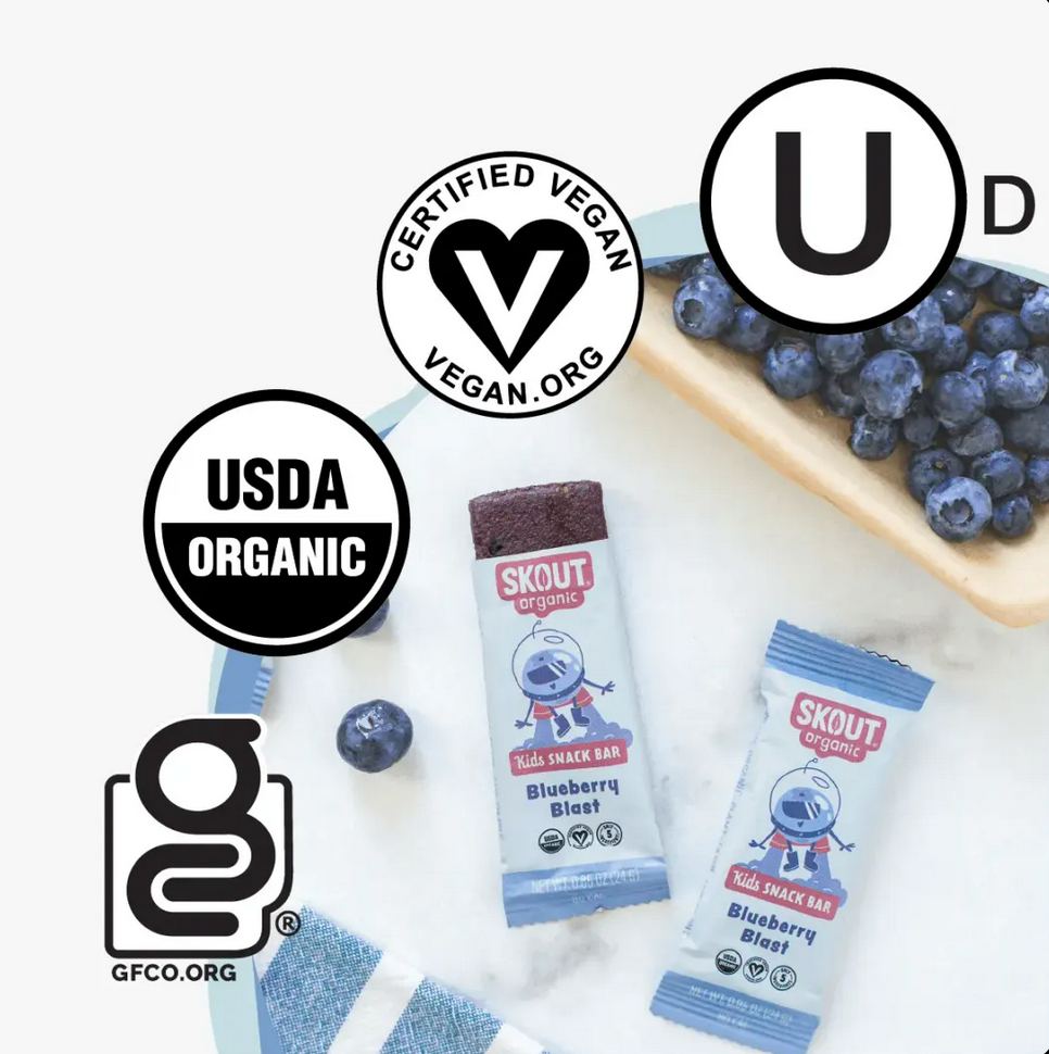 Skout Organic Blueberry Blast Kids Snack Bar