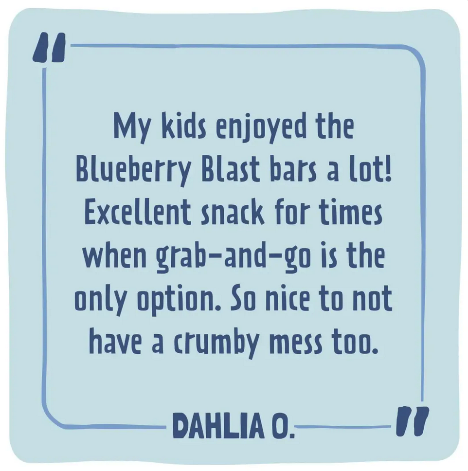 Skout Organic Blueberry Blast Kids Snack Bar
