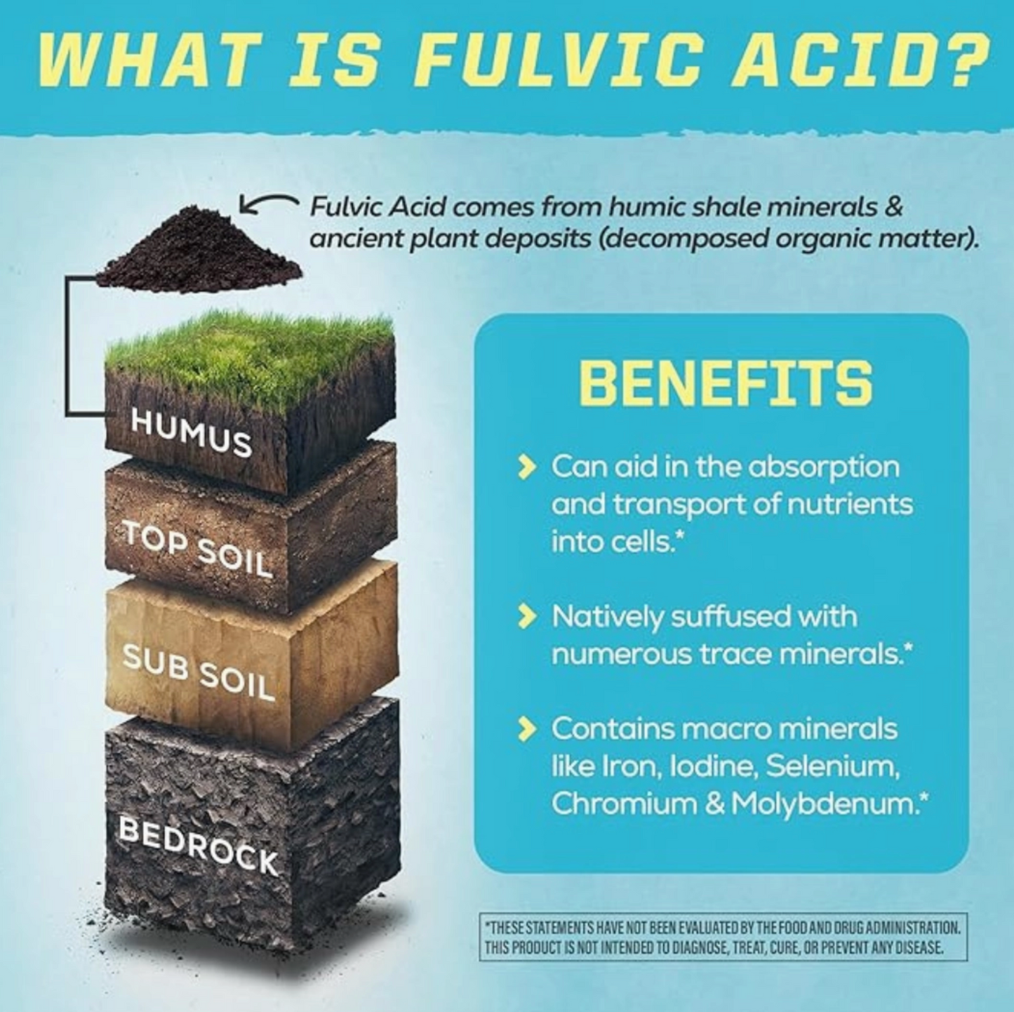 Fulvic Minerals w/ Antioxidants - Liquid Light