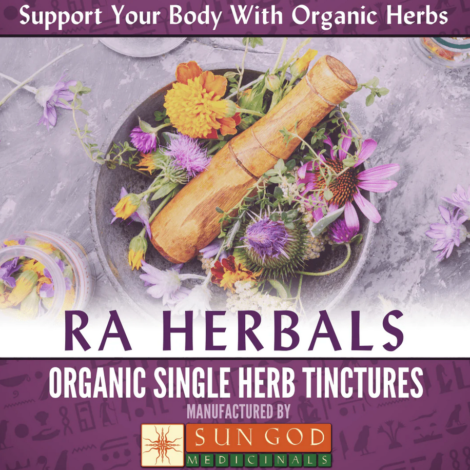 Echinacea Root Tincture Ra Herbals Certified Organic 1 oz