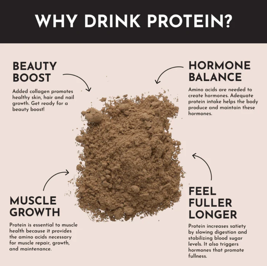 Protein Powder - Chocolate