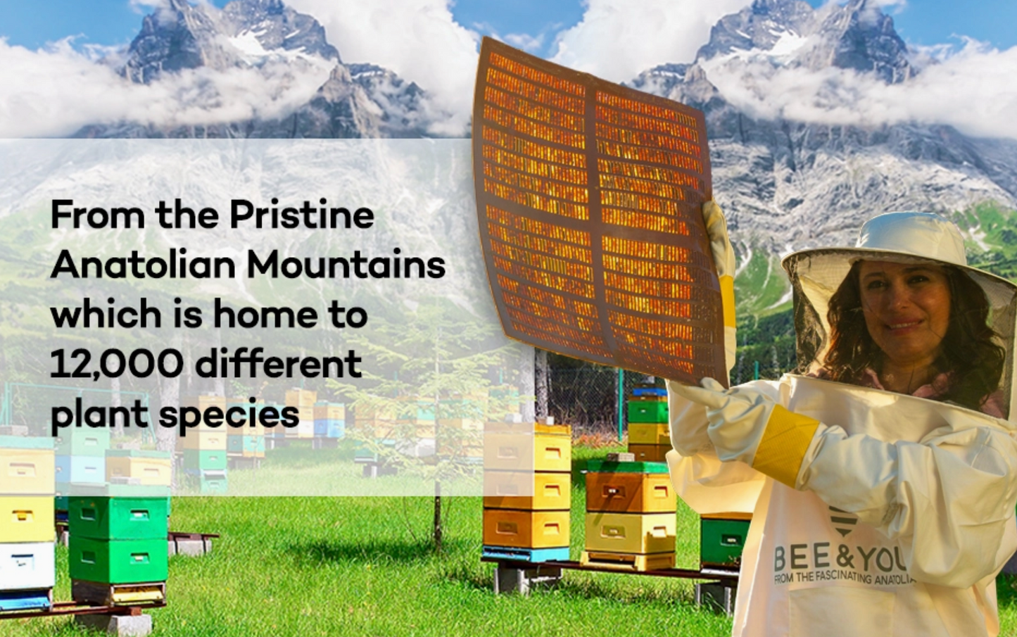 Royal Jelly + Bee Pollen + Propolis Tablets (Ultra Strength)