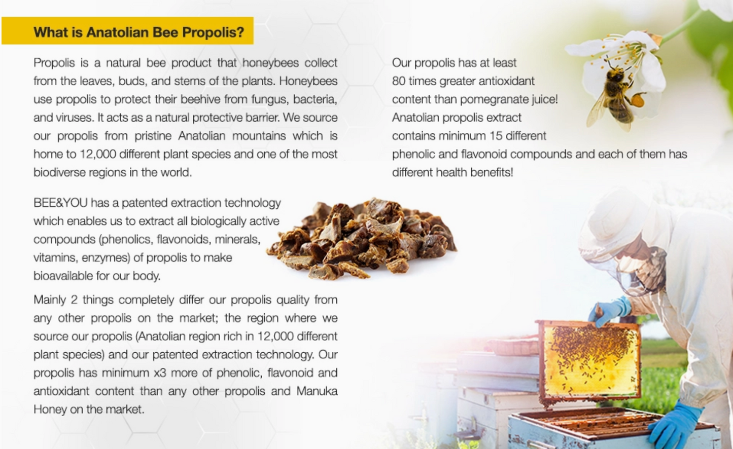Royal Jelly + Bee Pollen + Propolis Tablets (Ultra Strength)