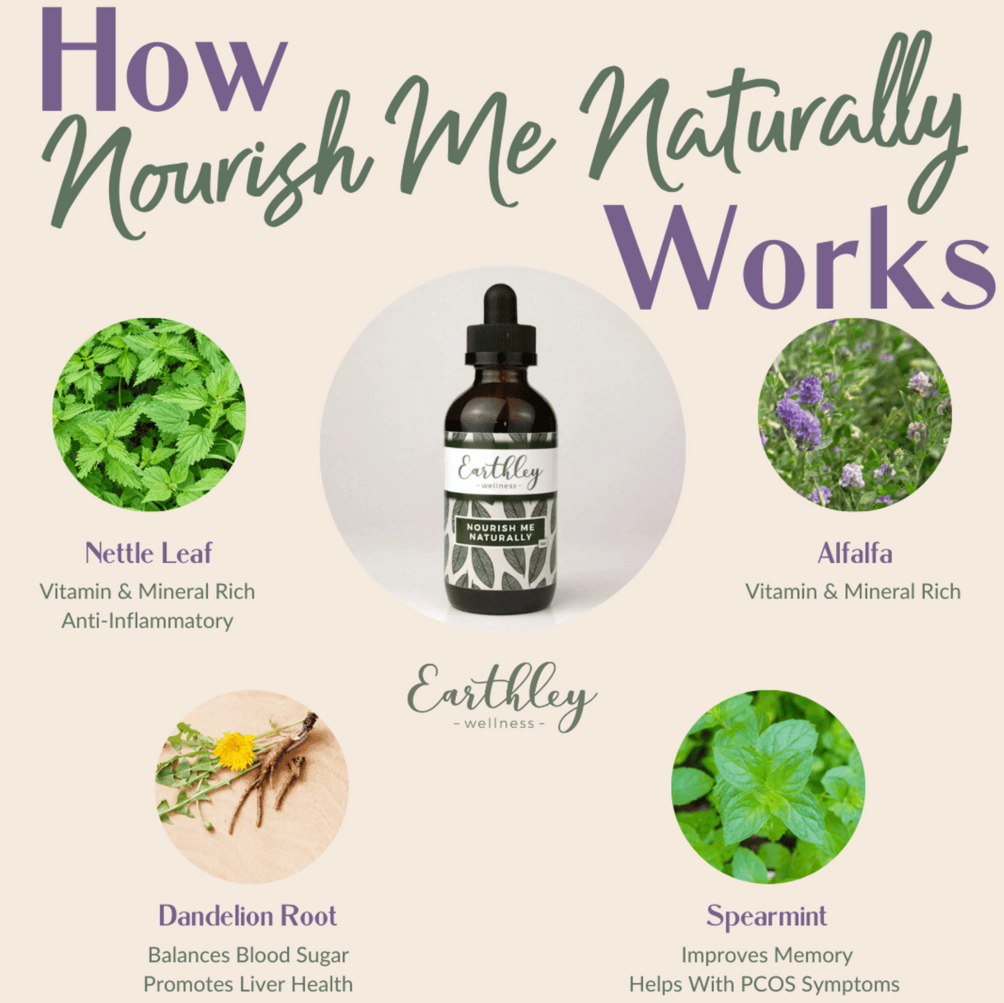 Nourish Me Naturally Liquid Herbal Support for the whole family 4 oz