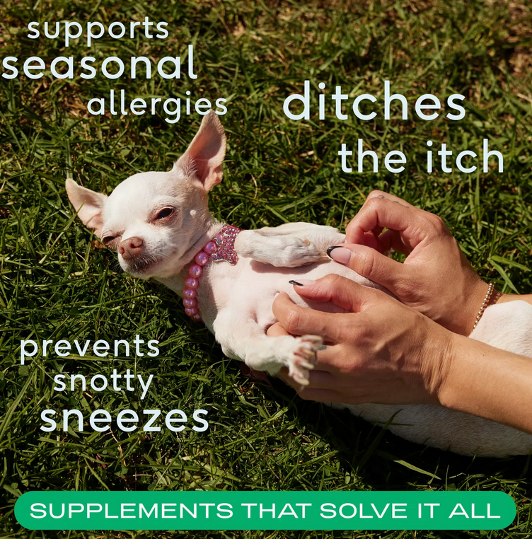 Allergy & Immune Chews, An Allergy & Itch Relief Supplement