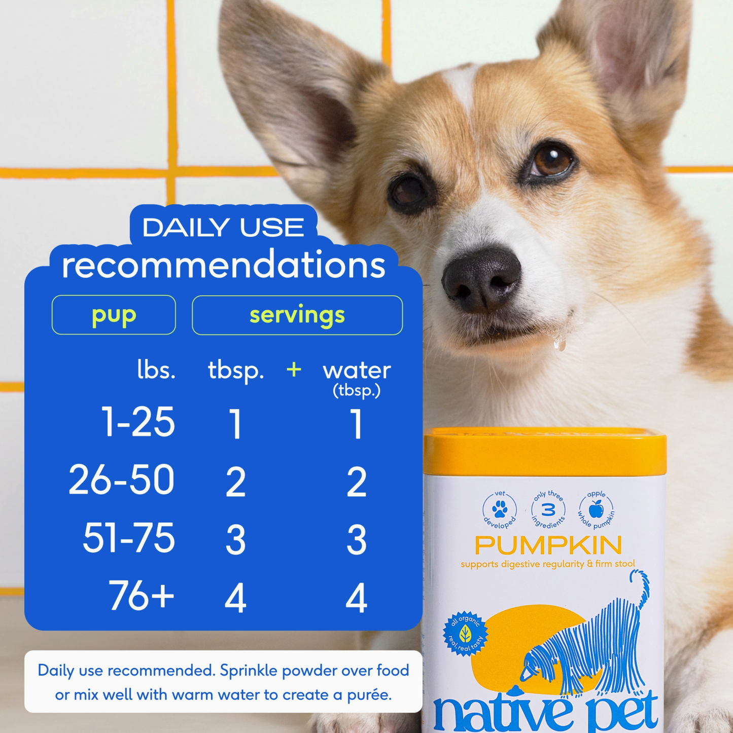 Organic Pumpkin Fiber Powder, Digestive Supplement For Dogs