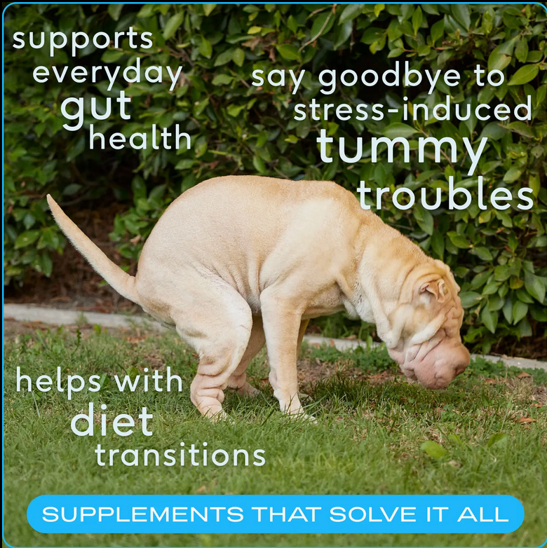 Probiotic & Prebiotic Powder Vet-Formulated Supplement