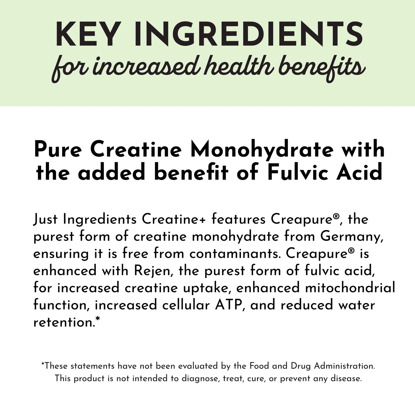 Creatine+ 30 Servings (New)