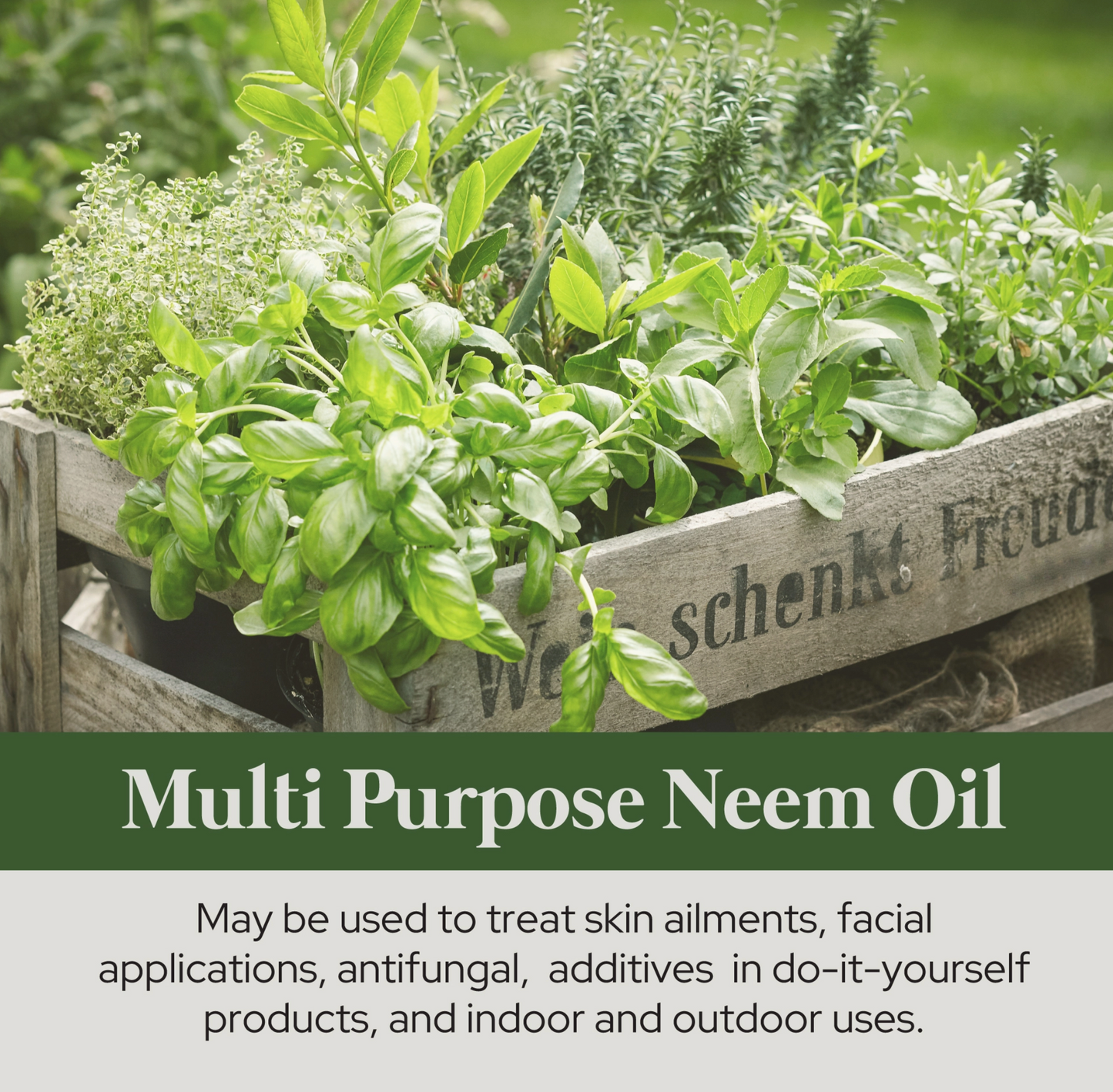 Neem Oil | Organic | Gardening Skin | Cold Pressed