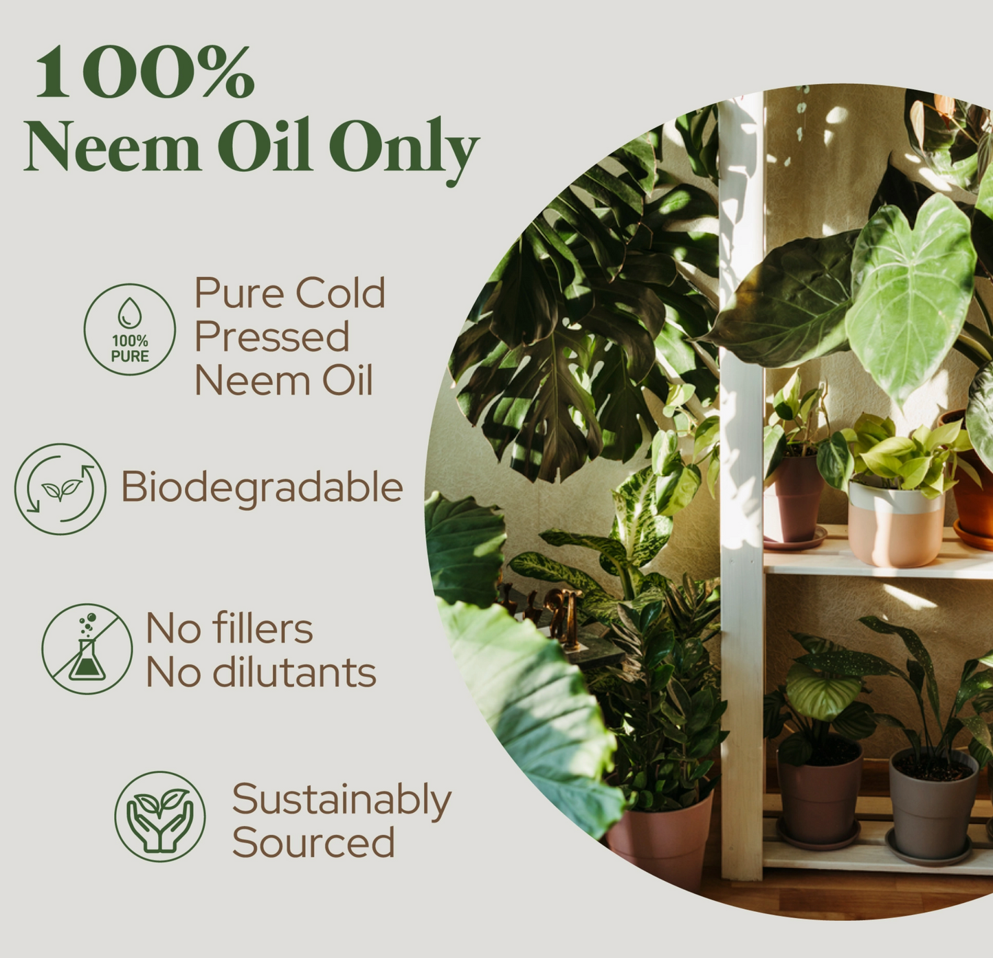 Neem Oil | Organic | Gardening Skin | Cold Pressed