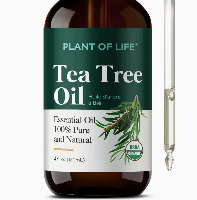 Tea Tree Oil For Aromatherapy, Skincare and Haircare |