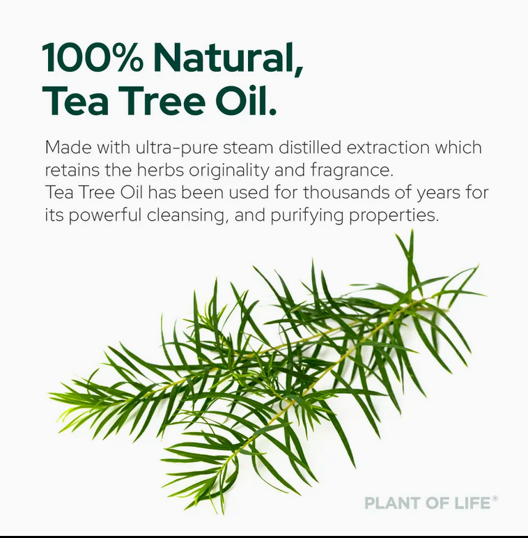 Tea Tree Oil For Aromatherapy, Skincare and Haircare |