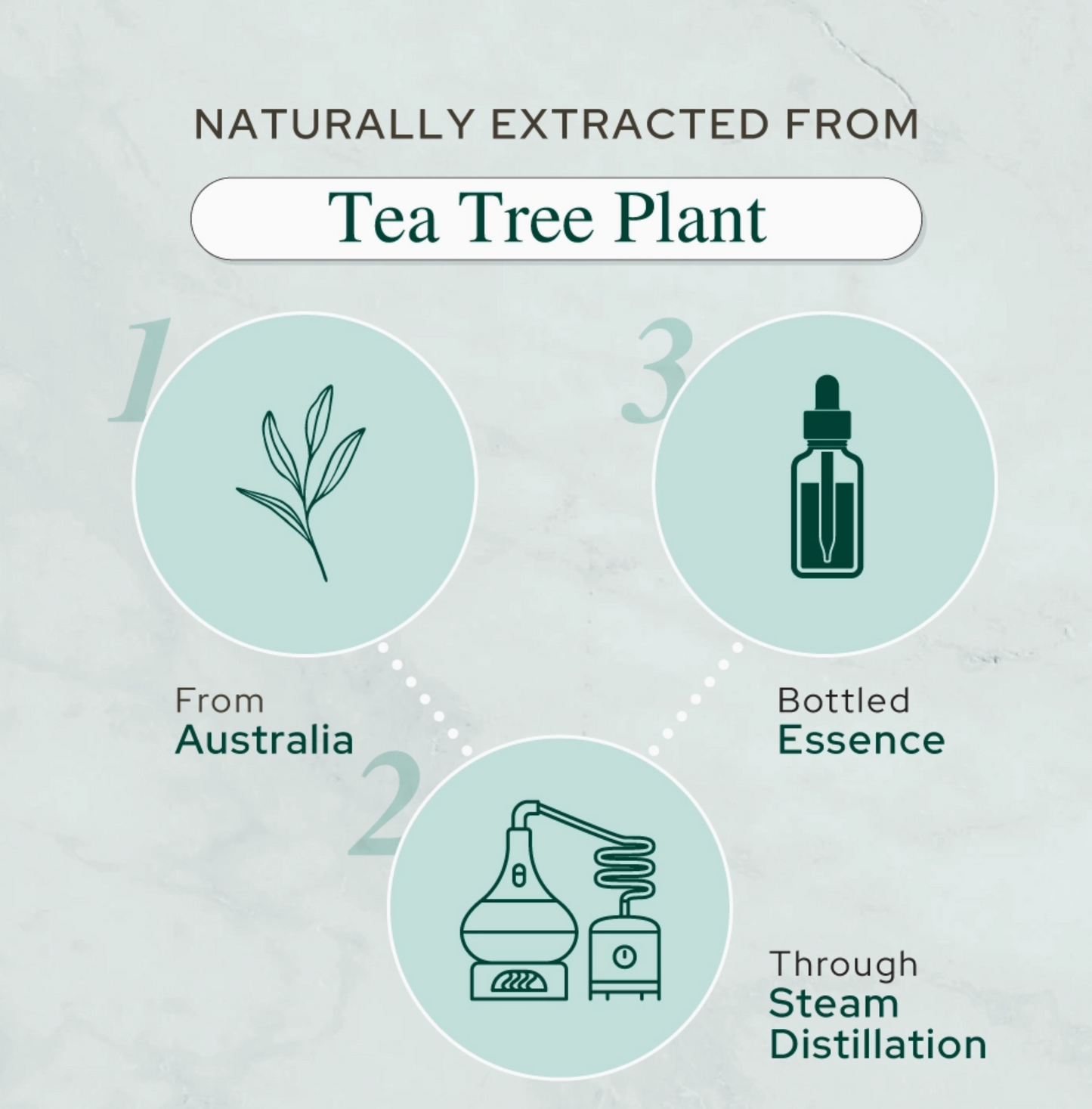 Tea Tree Oil For Aromatherapy, Skincare and Haircare |