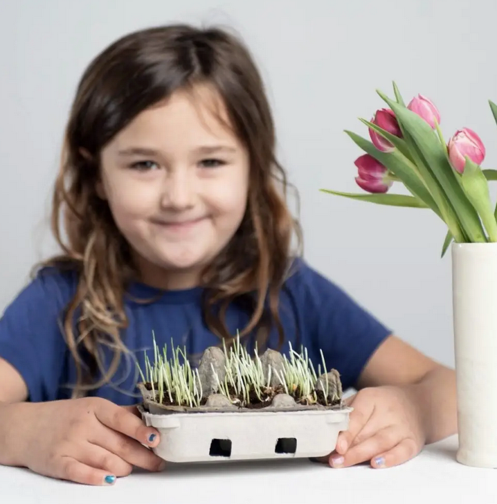 Non-Toxic Egg Coloring & Seed Growing Kit
