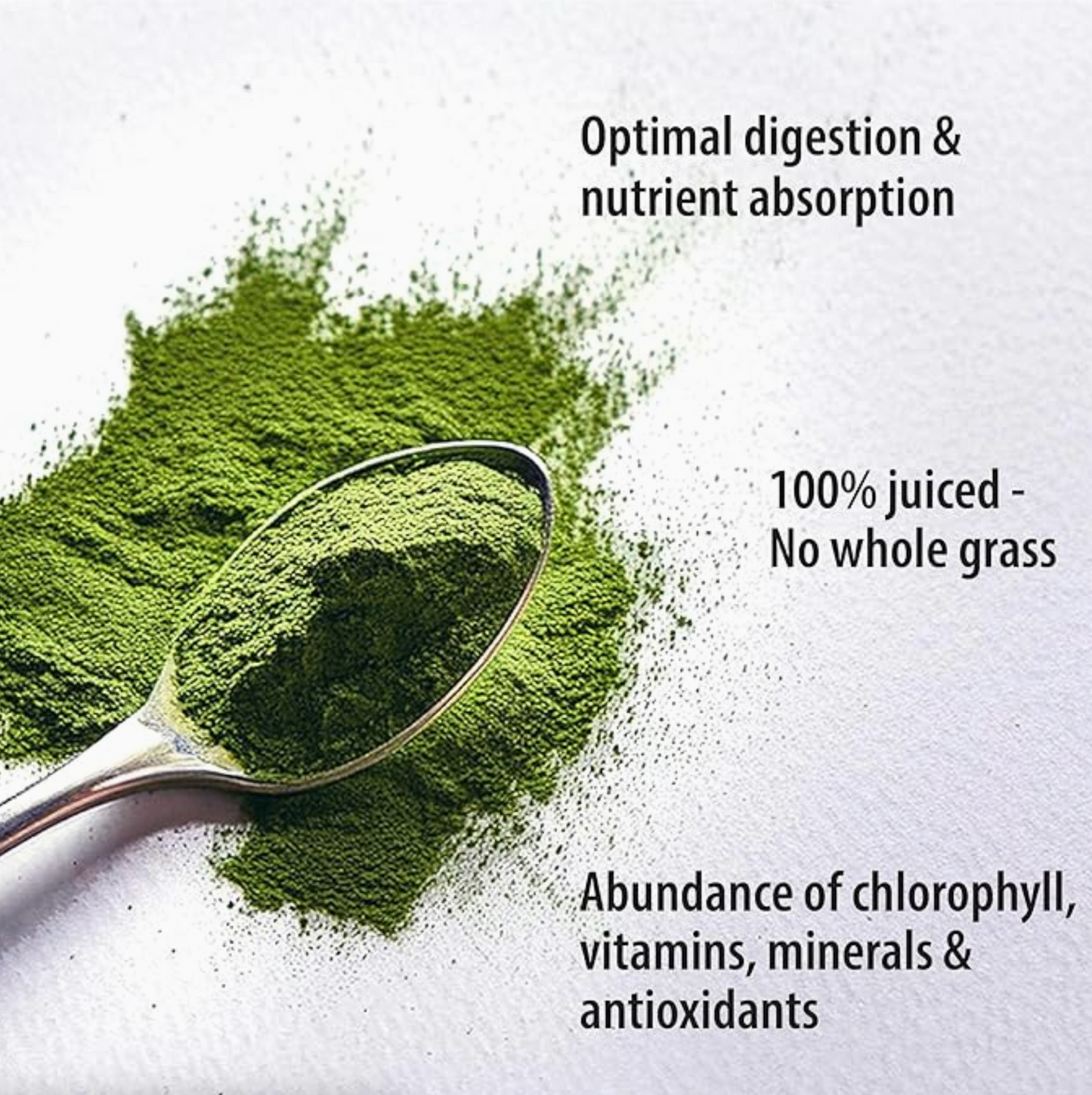 Wheat Grass Juice Powder