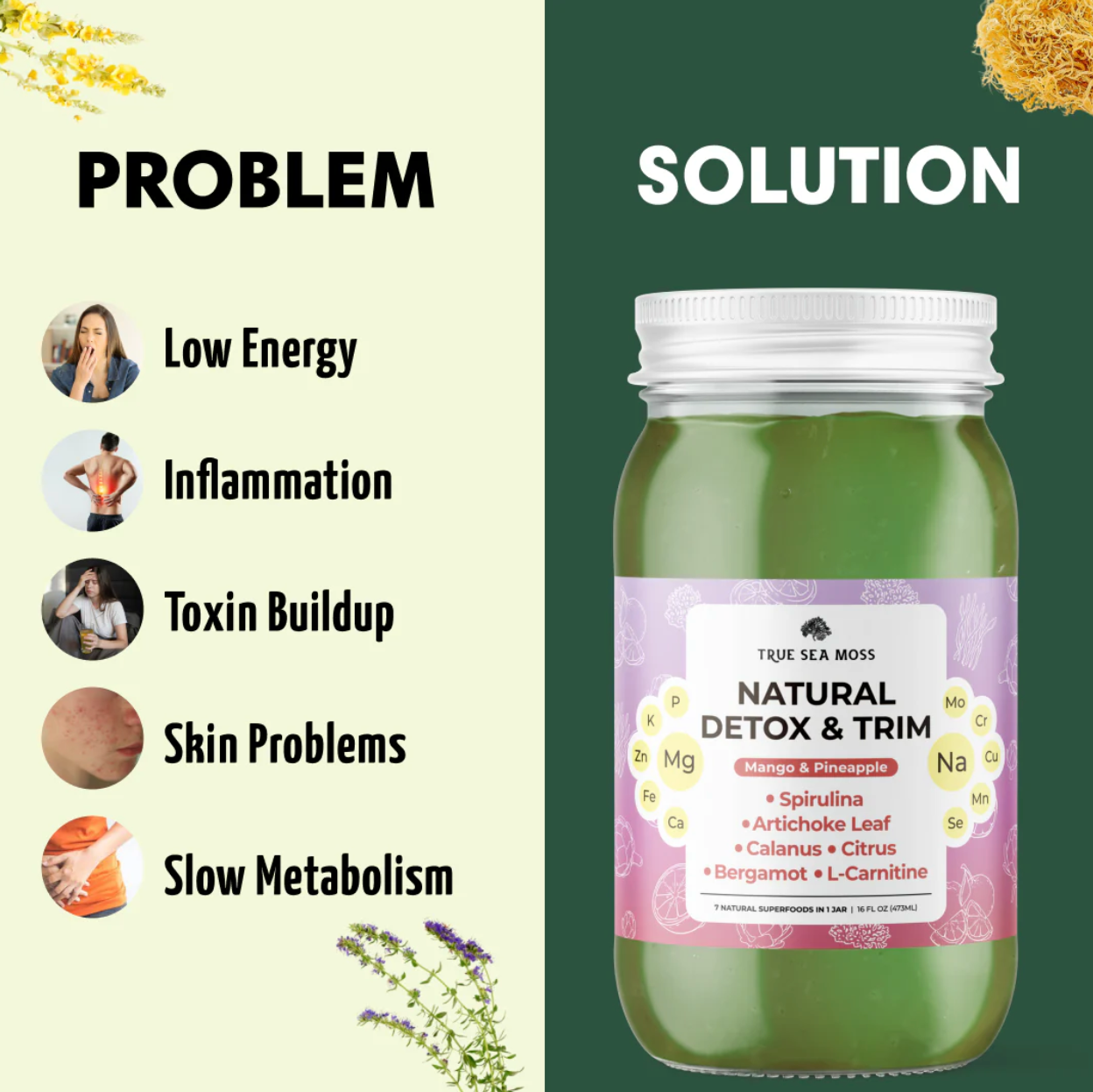 Sea Moss Gel - Natural Detox & Trim - Mango & Pineapple