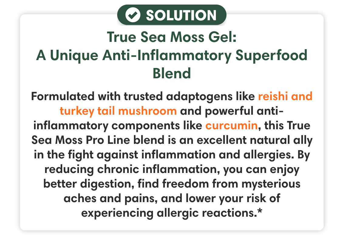 Sea Moss Gel - Natural Inflammatory & Allergy Support - Apple & Cinnamon