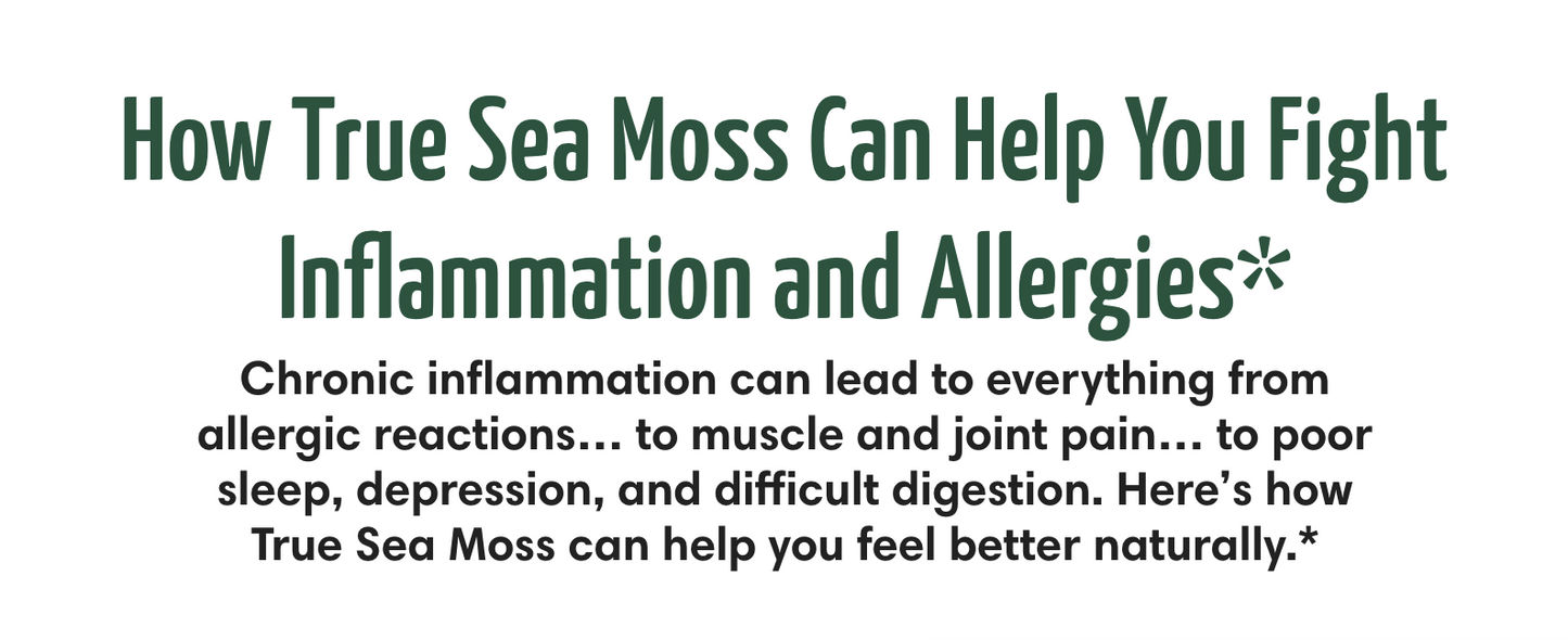 Sea Moss Gel - Natural Inflammatory & Allergy Support - Apple & Cinnamon