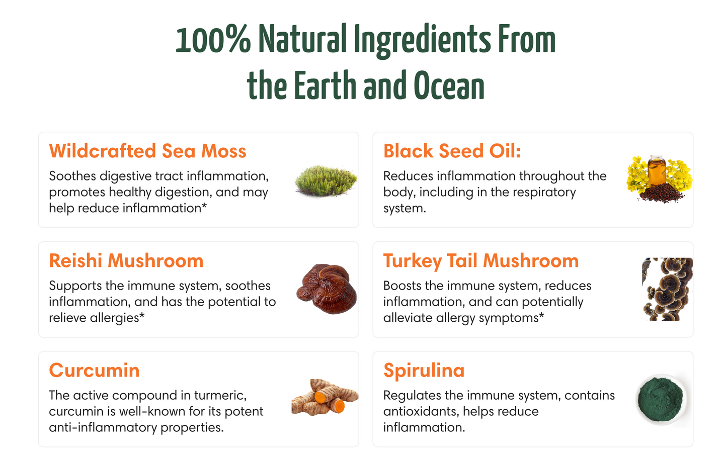 Sea Moss Gel - Natural Inflammatory & Allergy Support - Apple & Cinnamon