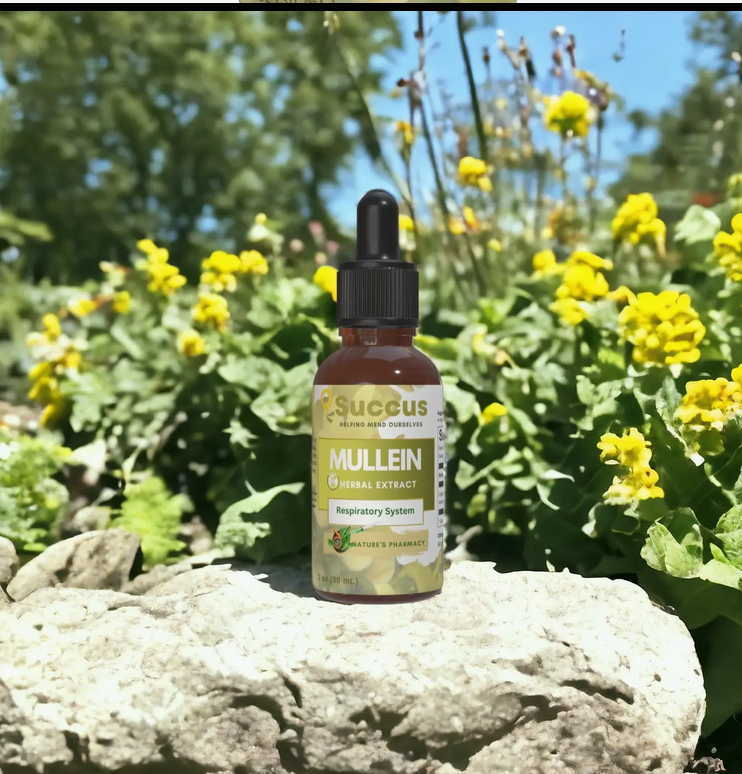 Mullein Tincture - Pure Herbal Extract For Daily Wellness