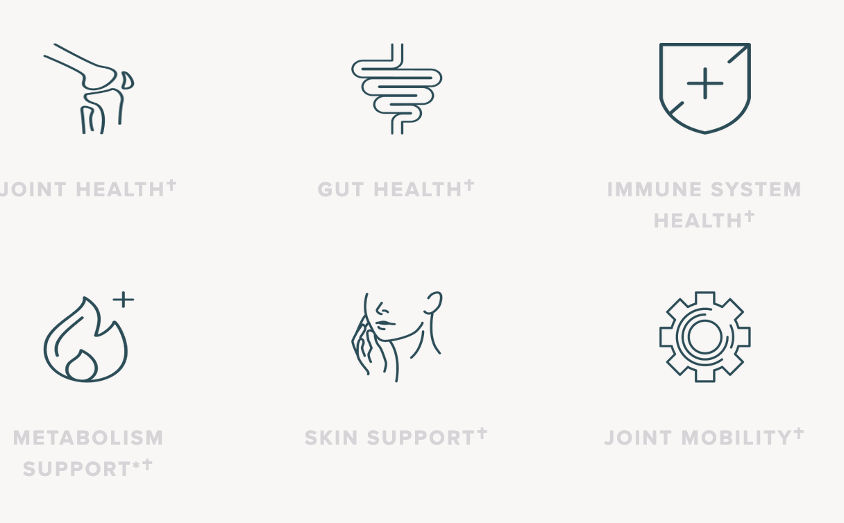 Bone Broth Protein - Turmeric