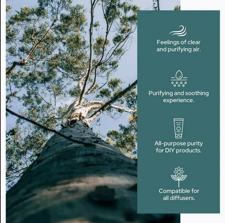 Eucalyptus Essential Oil | Therapeutic Grade | USDA Organic