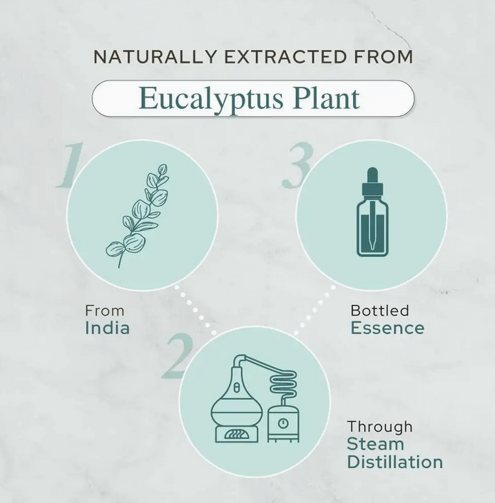 Eucalyptus Essential Oil | Therapeutic Grade | USDA Organic