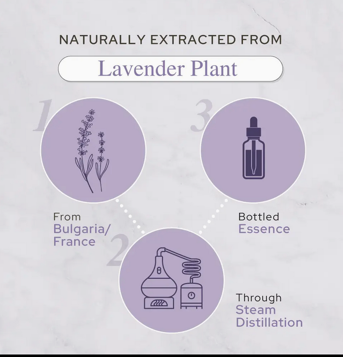 Lavender Essential Oil | Therapeutic Grade |